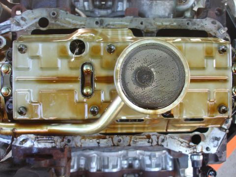 1993 Ford Taurus - Close-up view of an engine's oil pan and the oil pickup tube with its screen.