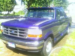 1995 Ford F-150 - This 1995 Ford F-150 pickup truck is parked in a driveway on a sunny day, with trees and a house in the background.