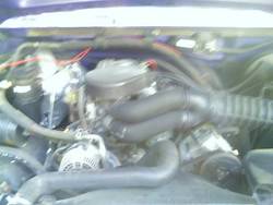 1995 Ford F-150 photo