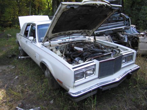 2001 Ford Crown Victoria - Photograph of a white Chrysler Fifth Avenue in a junkyard, not a technical document.