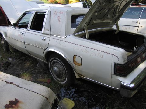 2001 Ford Crown Victoria - Photograph of a white Chrysler sedan in a junkyard, not a technical document.