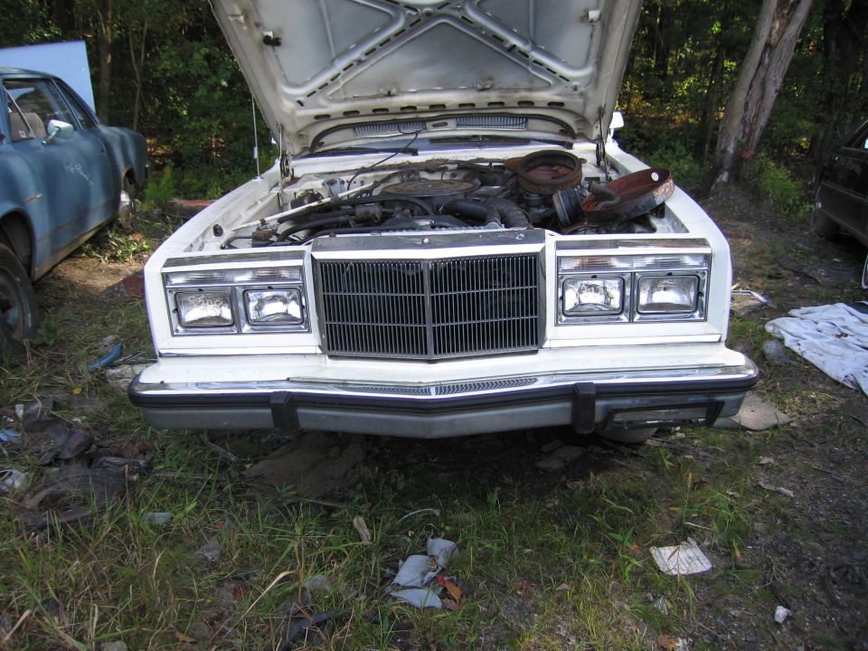 White Lincoln sedan, front view with hood open in salvage yard