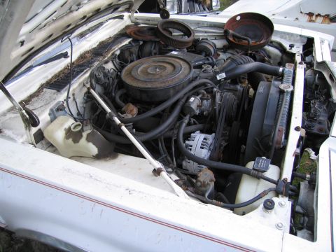 2001 Ford Crown Victoria - Photograph of a sedan engine bay, not a technical document.