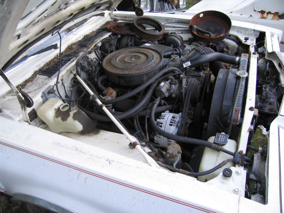 Engine bay of a white sedan showing air cleaner, alternator and belts