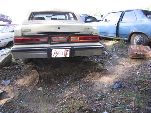 2001 Ford Crown Victoria - Photograph of a white Chrysler sedan rear in a junkyard, not a technical document.