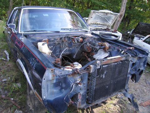 2001 Ford Crown Victoria - Photograph of a partly dismantled car front end in a salvage yard, not a document.