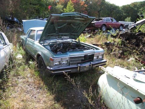 2001 Ford Crown Victoria - Photograph of a green Chrysler in a salvage yard, not a technical document.