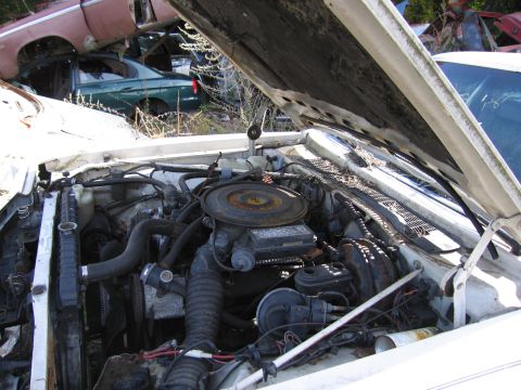 2001 Ford Crown Victoria - Photograph of an engine bay in a salvage yard, not a technical document.