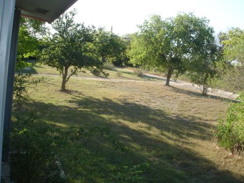 1989 Ford Bronco - A view of a grassy yard with several trees and a dirt path, taken from a porch.