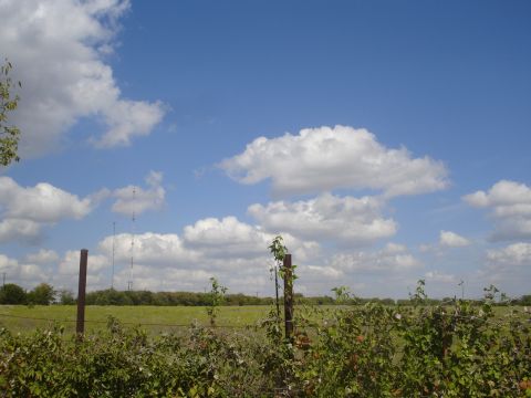 1989 Ford Bronco - A wide shot of a rural landscape under a blue sky with scattered white clouds. In the foreground, a barbed wire fence is overgrown with gre…