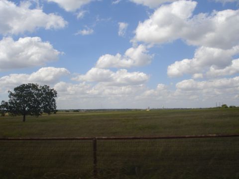 1989 Ford Bronco - A wide shot of a grassy field under a blue sky with fluffy white clouds. A single large tree stands on the left side of the frame, and a ru…