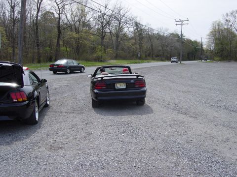 2001 Ford Mustang “PETSNKE”