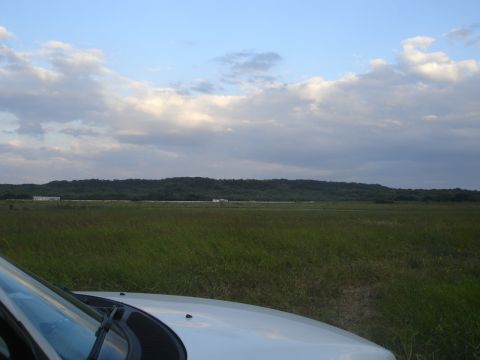 1989 Ford Bronco - The front corner of a white vehicle is visible in the foreground, parked in a grassy field with a line of trees and buildings in the distan…