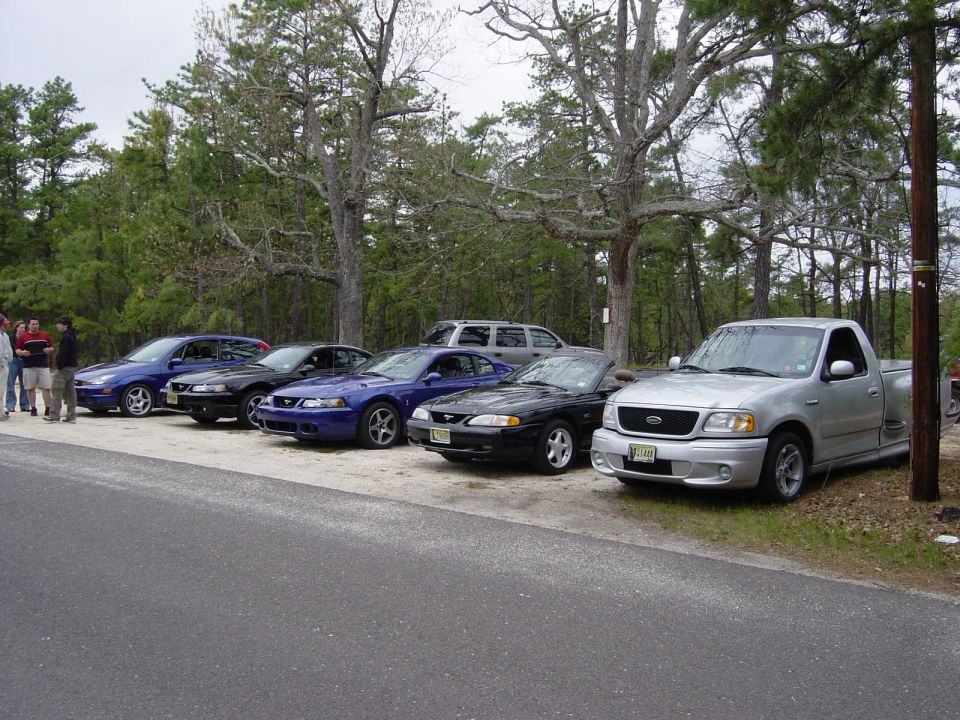 Row of Mustangs and a silver Ford Lightning truck parked under pines
