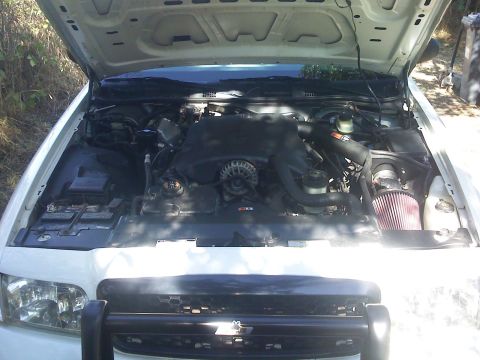2000 Ford Crown Victoria - The engine bay of a white 2000 Ford Crown Victoria is visible with the hood open.