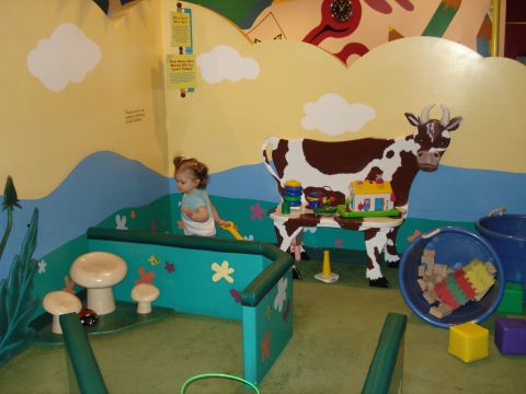 2000 Ford Crown Victoria - A young child explores a colorful play area designed with farm and nature themes.