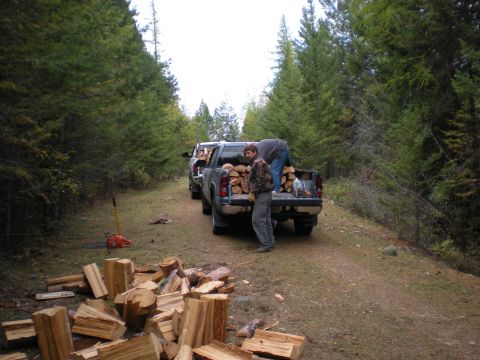 1974 Ford Ranchero - Two pickup trucks are being loaded with firewood on a dirt road surrounded by trees.