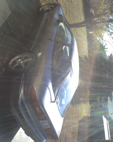 1994 Ford Probe - A silver sedan is parked outside on a sunny day, with trees and grass visible around it.