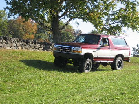 1996 Ford Bronco - A two-tone Ford Bronco sits on a grassy incline under a large tree.