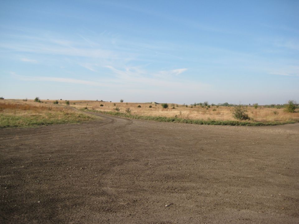 Dirt road curves through a dry, grassy field with scattered bushes under a blue sky