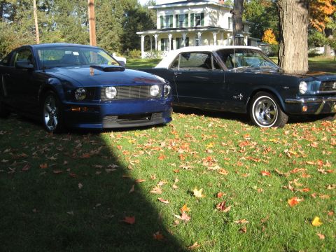 1965 Ford Mustang photo
