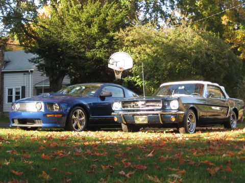 1965 Ford Mustang photo