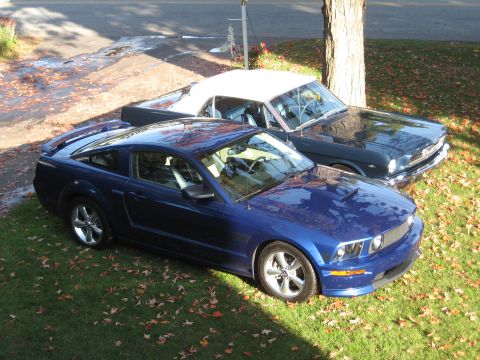 1965 Ford Mustang photo