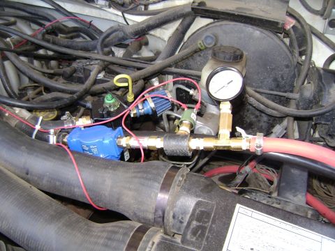 1988 Ford Bronco - Custom modifications to an engine bay, including a blue fuel pump and brass fittings.