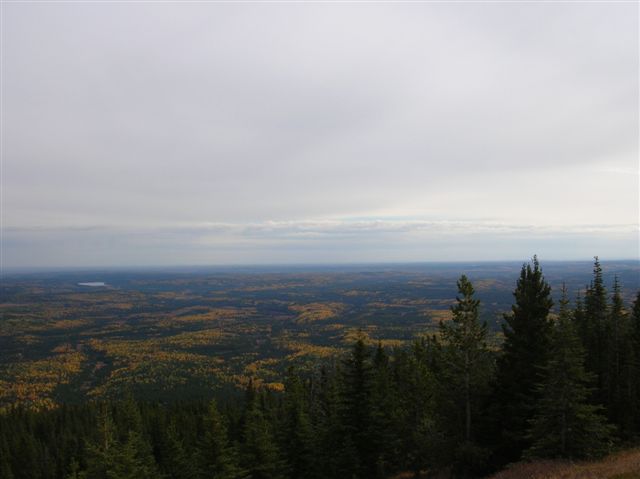 Overcast sky above a vast expanse of autumn forest with a distant lake