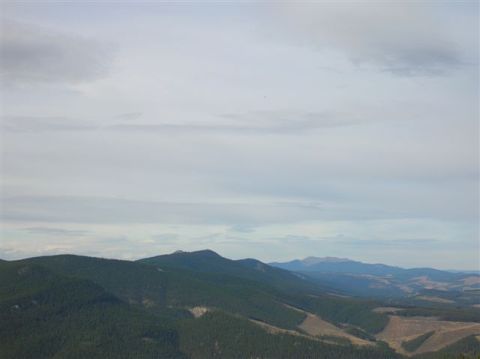 2008 Honda RANCHER photo
