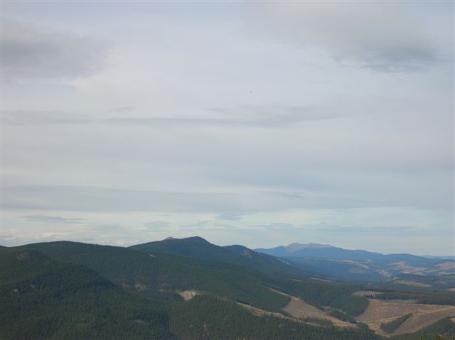 Mountain landscape with evergreen forests and cloudy sky