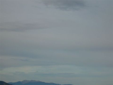 2008 Honda RANCHER photo