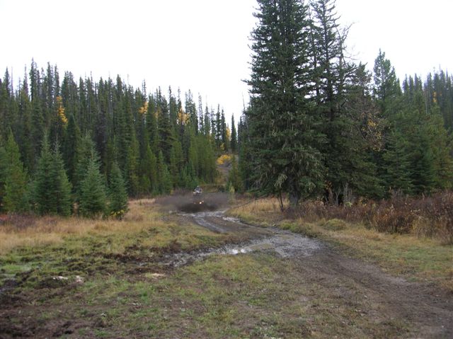 ATV on muddy track through forest