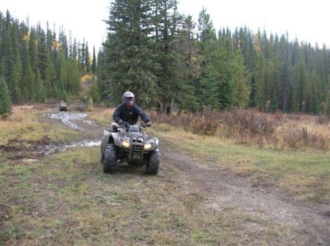 2008 Honda RANCHER photo