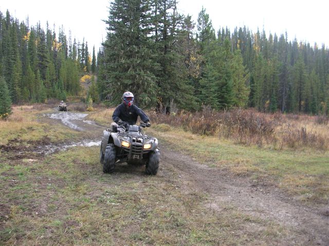 Gray ATV with rider on muddy trail, forest background