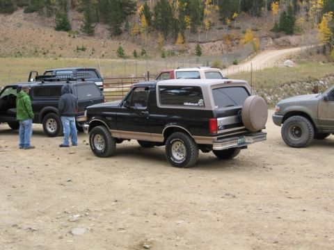 1996 Ford Bronco - A black Ford Bronco with a tan top is parked on a dirt lot with other SUVs. The Bronco has a spare tire mounted on the rear door and a roof…