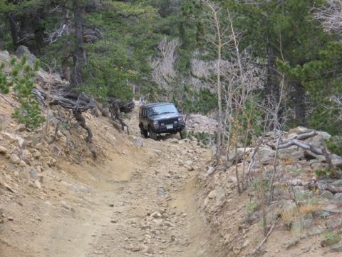 1996 Ford Bronco - A black Jeep Cherokee is driving down a steep, rocky, off-road trail surrounded by trees.