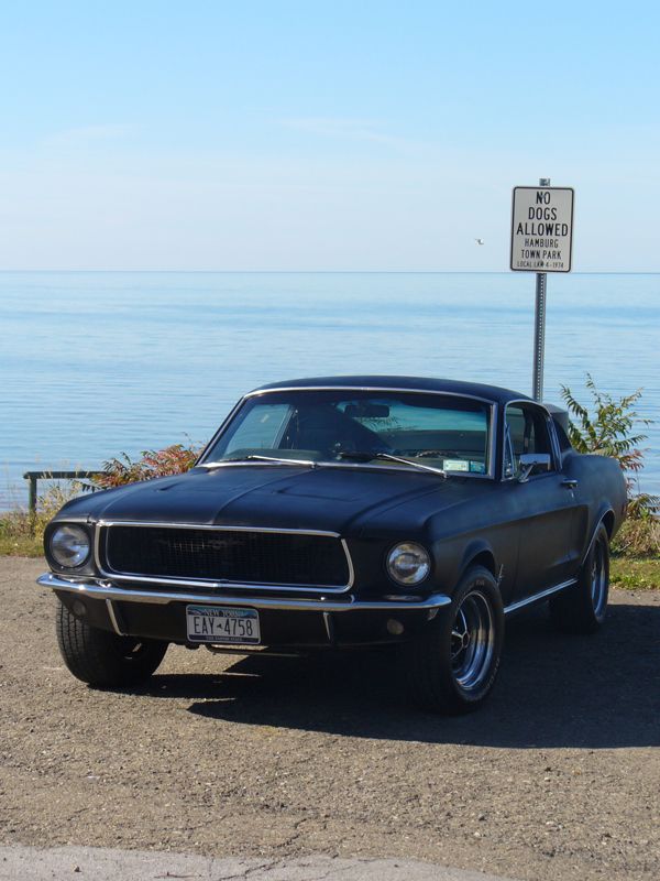 Matte black 1968 Ford Mustang fastback parked by a lake with a "No Dogs Allowed" sign.