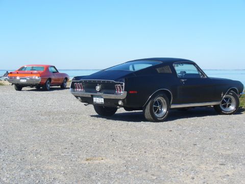 1968 Ford Mustang “Fastback”