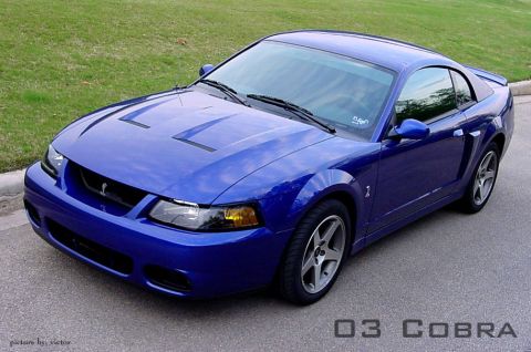 1999 Ford Mustang - Cody's 03 Cobra