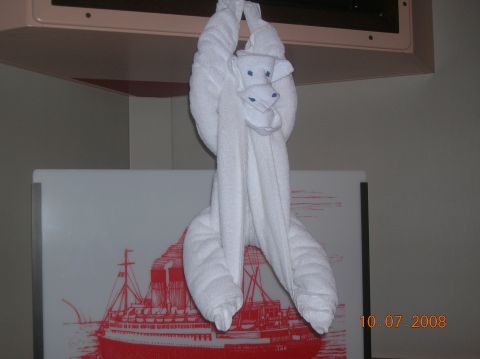1985 Ford Bronco - A towel animal hangs above a graphic of a ship, with a date stamp in the corner.