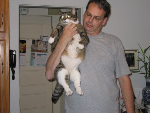 2001 Ford Crown Victoria - Man holds a large cat indoors. The cat has tabby markings and white fur on its chest and paws.