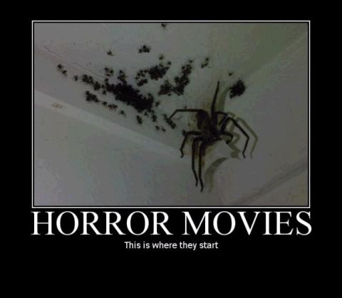 1988 Mercury Grand Marquis - A large spider is on a ceiling with many smaller spiders. The text below the image reads "HORROR MOVIES" and "This is where they start."