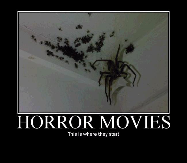 A large spider and many smaller spiders on a ceiling, with text "HORROR MOVIES" and "This is where they start."
