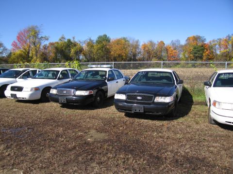 1991 Ford LTD Crown Victoria - Multiple police cars are lined up in an outdoor lot with trees in the background.