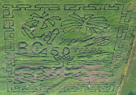 1989 Ford Bronco - This aerial view shows a corn maze designed with text and imagery, not a vehicle.