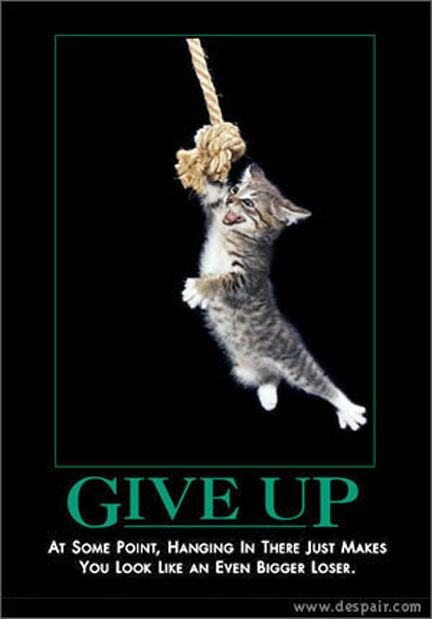 1971 Ford Ranchero - Motivational poster a kitten hanging from a rope with the text 'GIVE UP'.