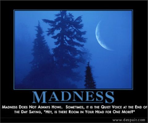 1971 Ford Ranchero - A demotivational poster with a dark, atmospheric image and a quote about the nature of madness.