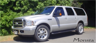 2005 Ford Excursion - This 2005 Ford Excursion is shown in a three-quarter front view, parked outdoors with trees in the background.