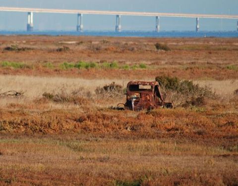 1991 Ford Bronco - An abandoned, heavily rusted truck cab sits in a field of dry grass with a bridge visible in the distance.
